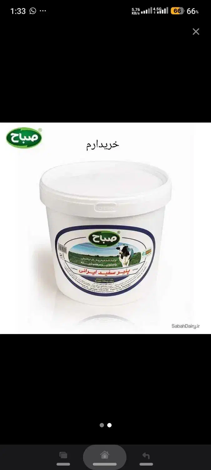 سطل پنیری|ظروف نگهدارنده، پلاستیکی، یک‌بارمصرف|سراوان, |دیوار