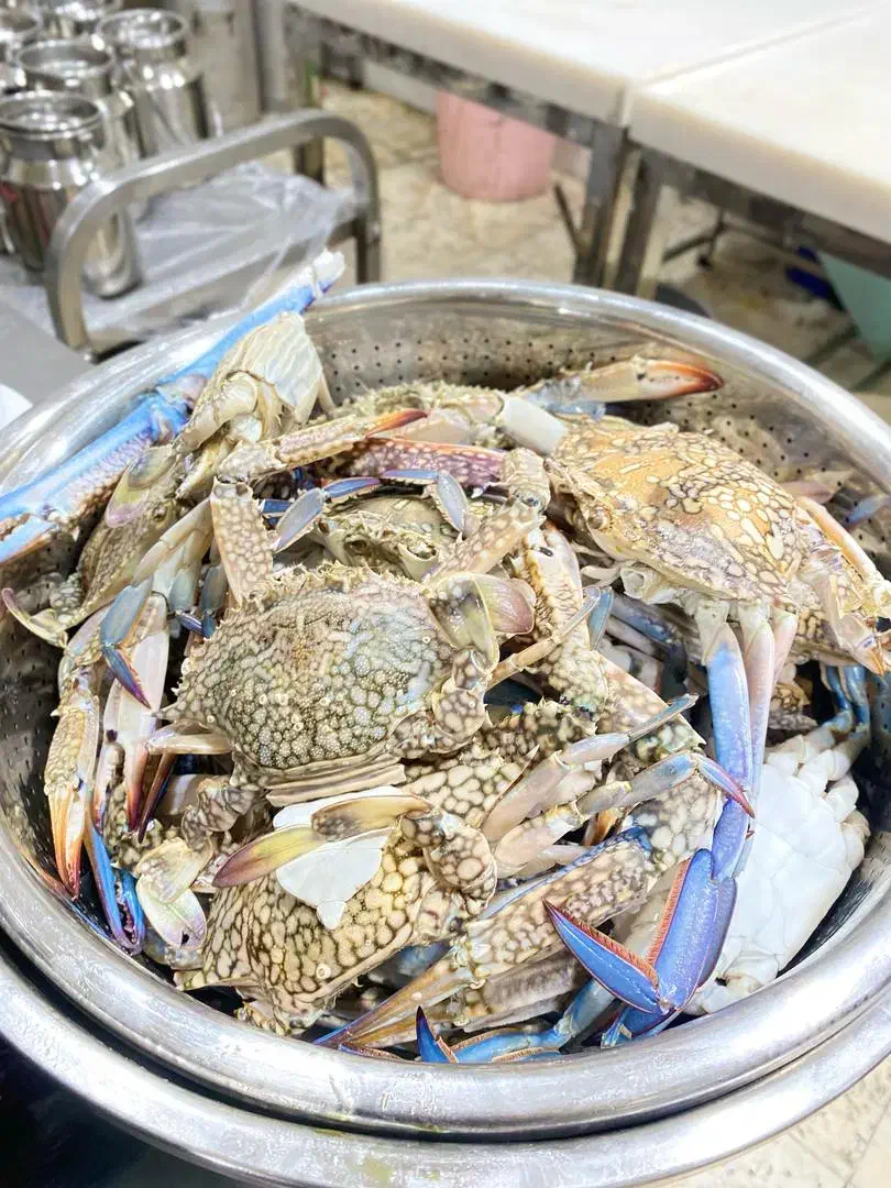 گشت جزیره|تور و چارتر|قشم, |دیوار