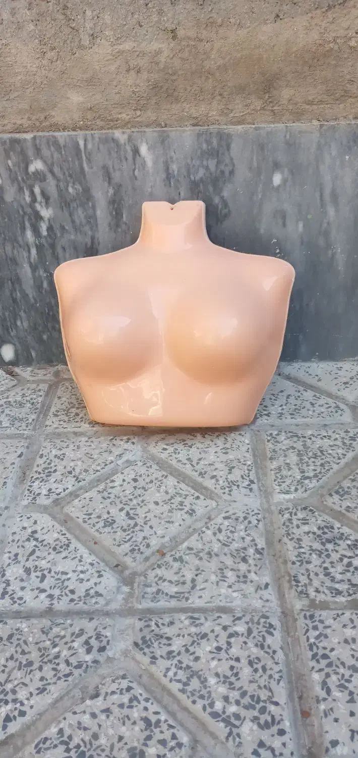 مانکن و چوب لباسی|فروشگاه و مغازه|اردبیل, |دیوار