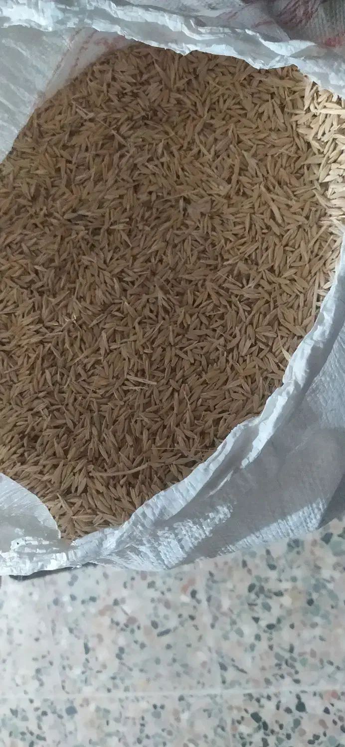 جو دیمی|عمدهفروشی|لاران, |دیوار