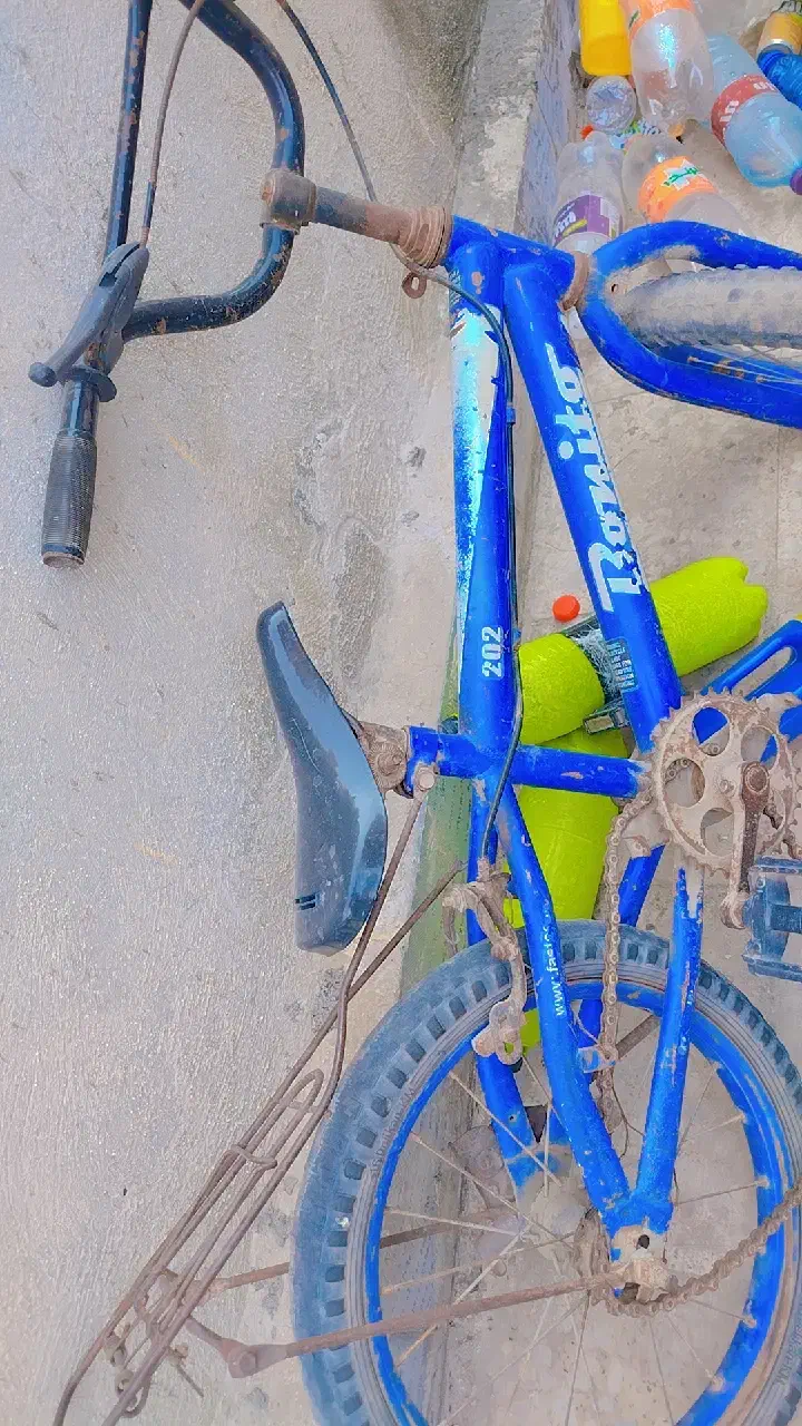 دوچرخه|دوچرخه، اسکیت، اسکوتر|میناب, |دیوار