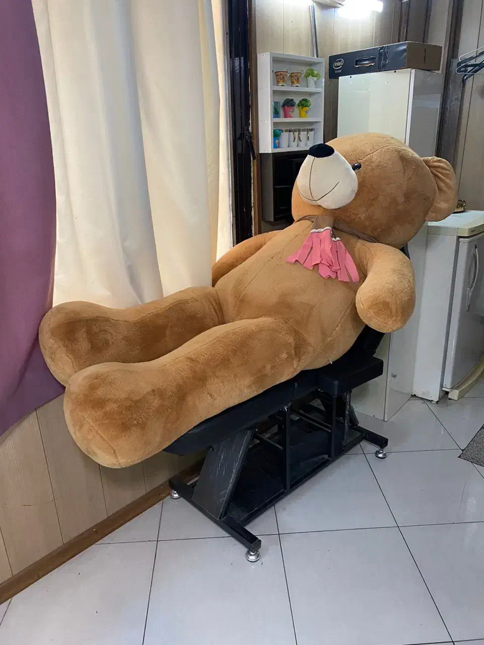 خرس بزرگ|اسباببازی بچه|ری, شهادت|دیوار