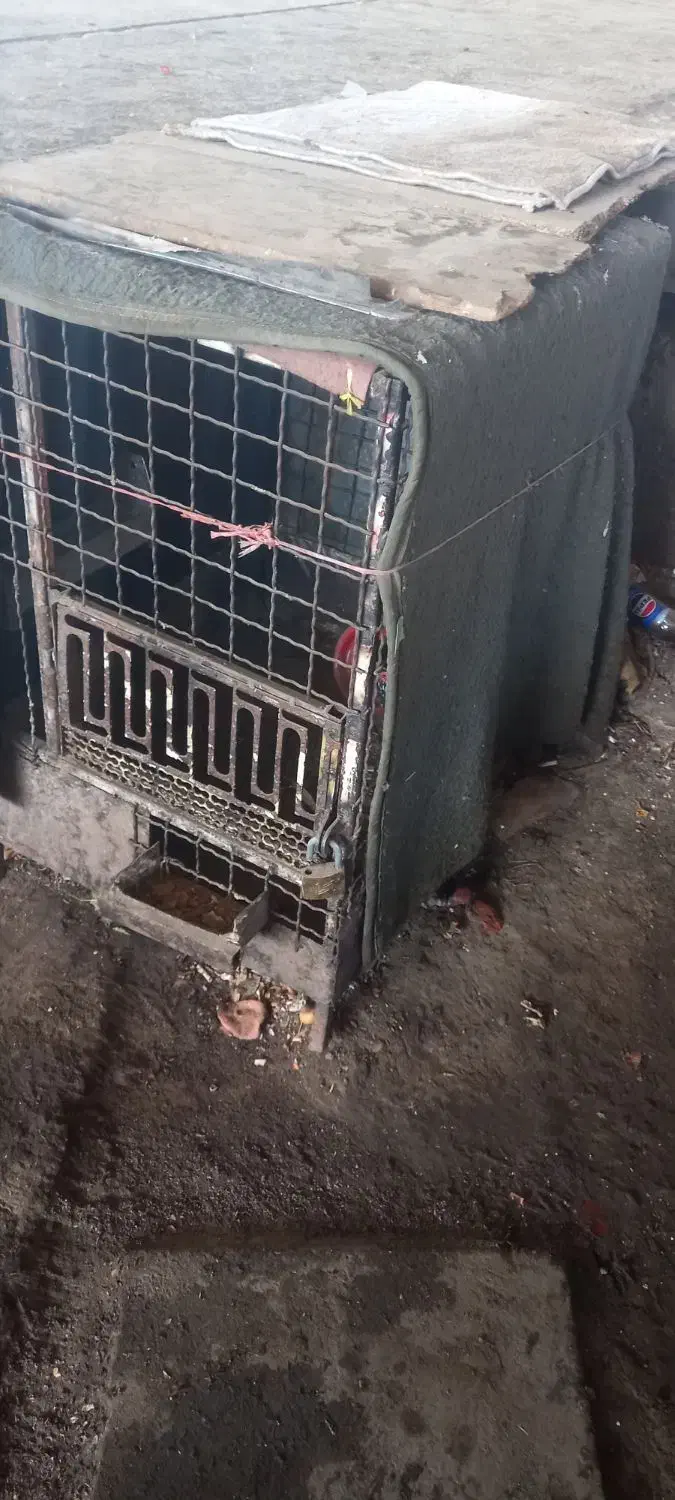 قفس پرنده|لوازم جانبی حیوانات|تهران, میدان میوه و تره‌بار مرکزی|دیوار