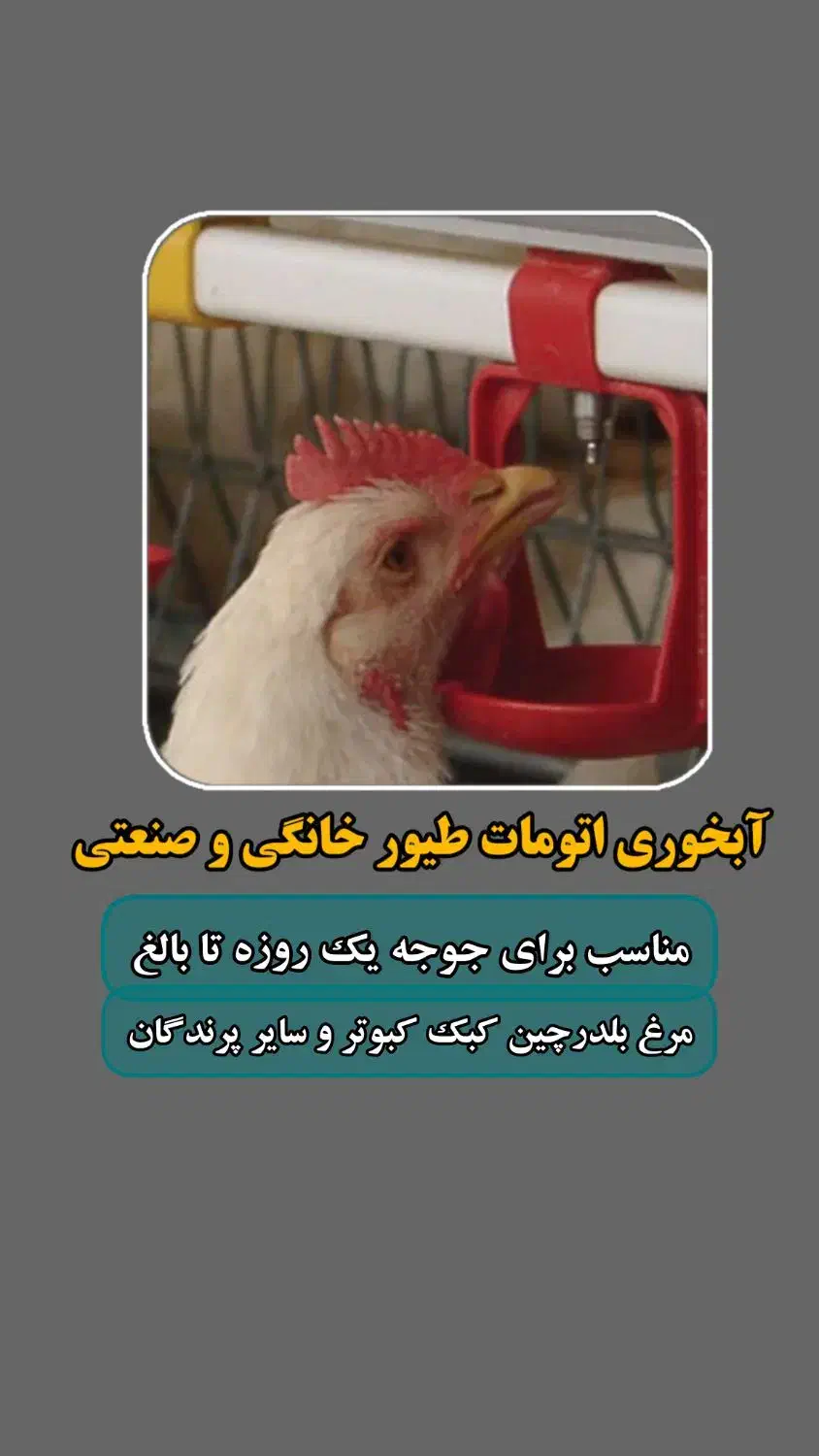 آبخوری  دان‌خوری طیور و پرندگان|لوازم جانبی حیوانات|شیراز, رکن‌آباد|دیوار