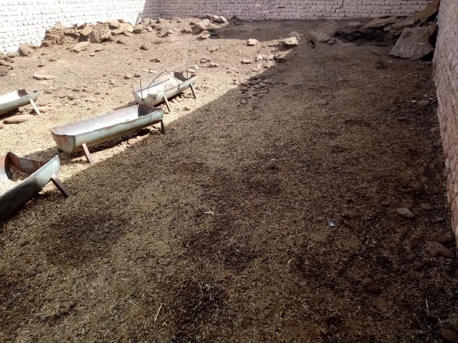 کود گوسفندی|خدمات باغبانی و درختکاری|چترود, |دیوار