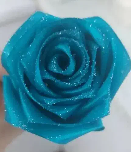 حراج گل|حراج|تهران, نیکنام|دیوار