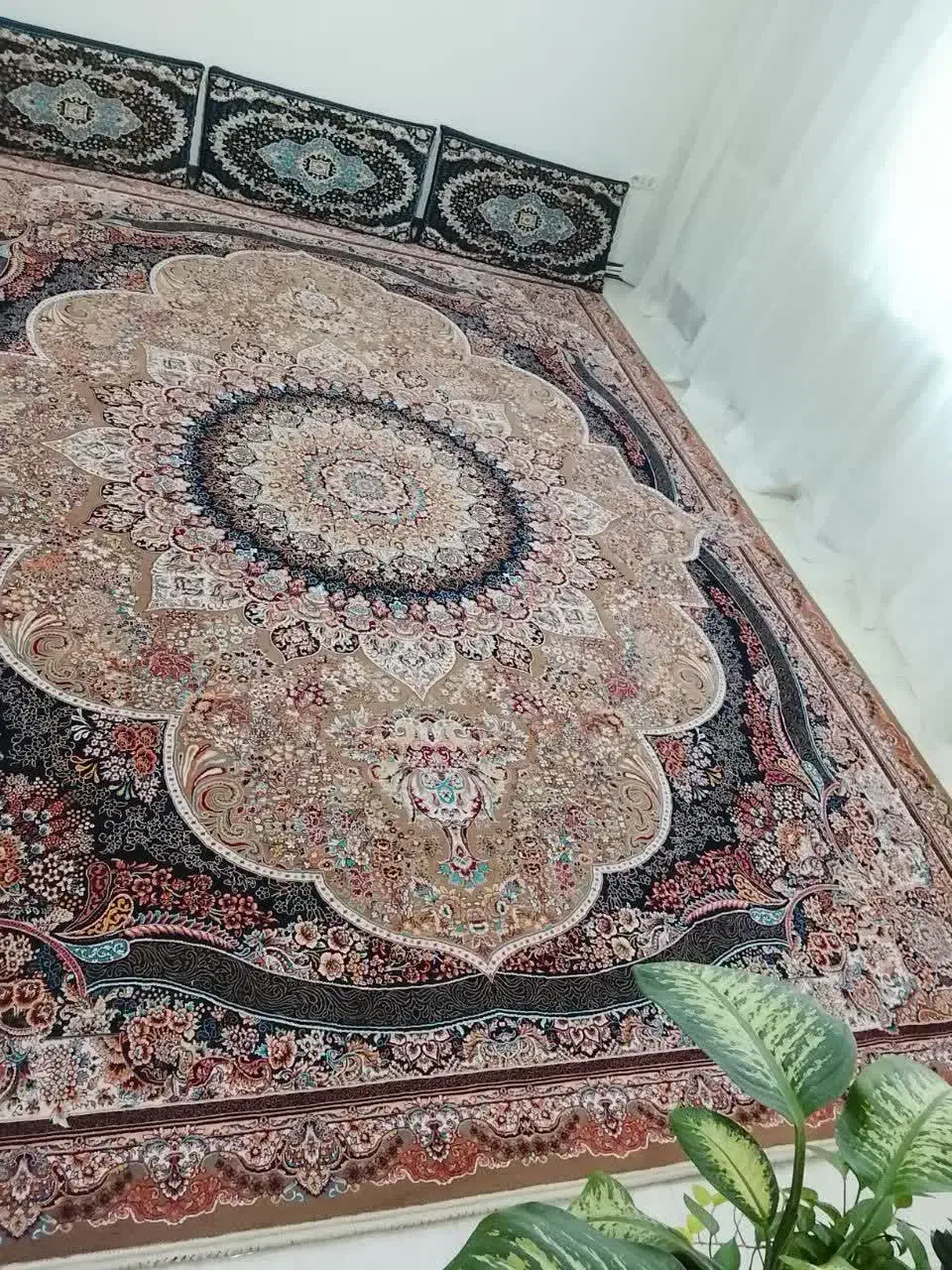 قالی|فرش|گلبهار, شهر جدید گلبهار|دیوار