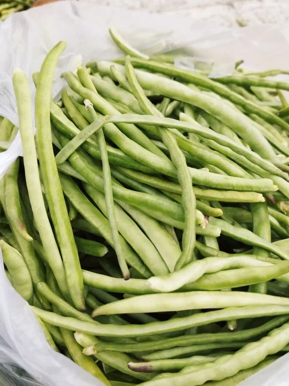 لوبیا سبز|خوردنی و آشامیدنی|جنت, |دیوار