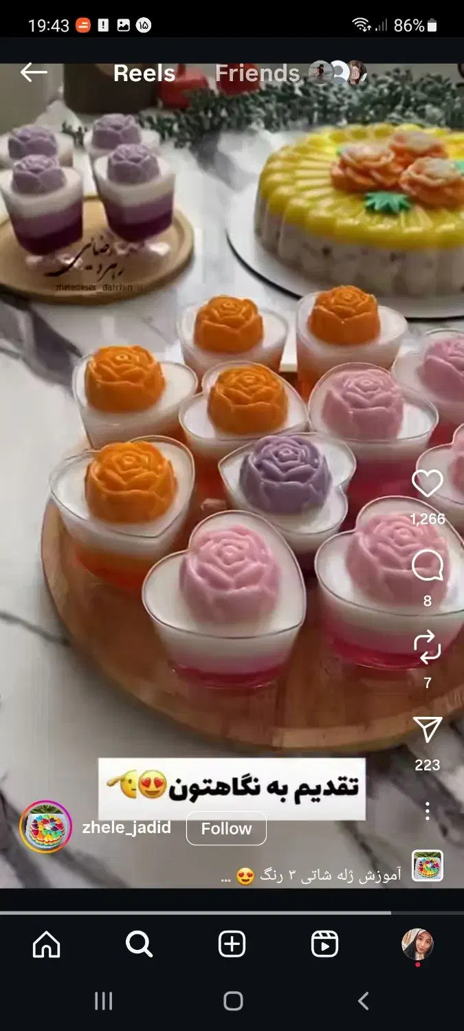 ژله تک نفره|خدمات پذیرایی، مراسم|رشت, گیل|دیوار