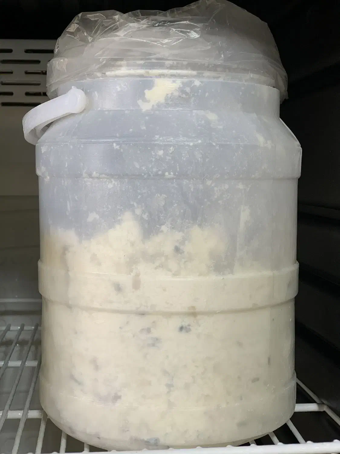 پنیر|خوردنی و آشامیدنی|ارومیه, |دیوار