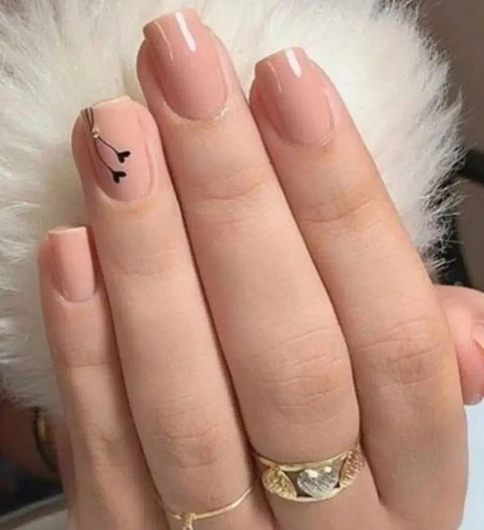 زیبایی بیتا|خدمات آرایشگری و زیبایی|سبزوار, هویزه|دیوار