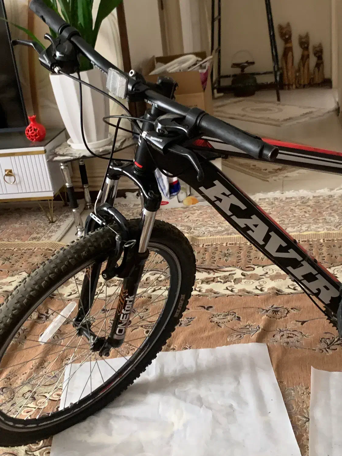 دوچرخه کویر 26|دوچرخه، اسکیت، اسکوتر|پرند, فاز ۶|دیوار