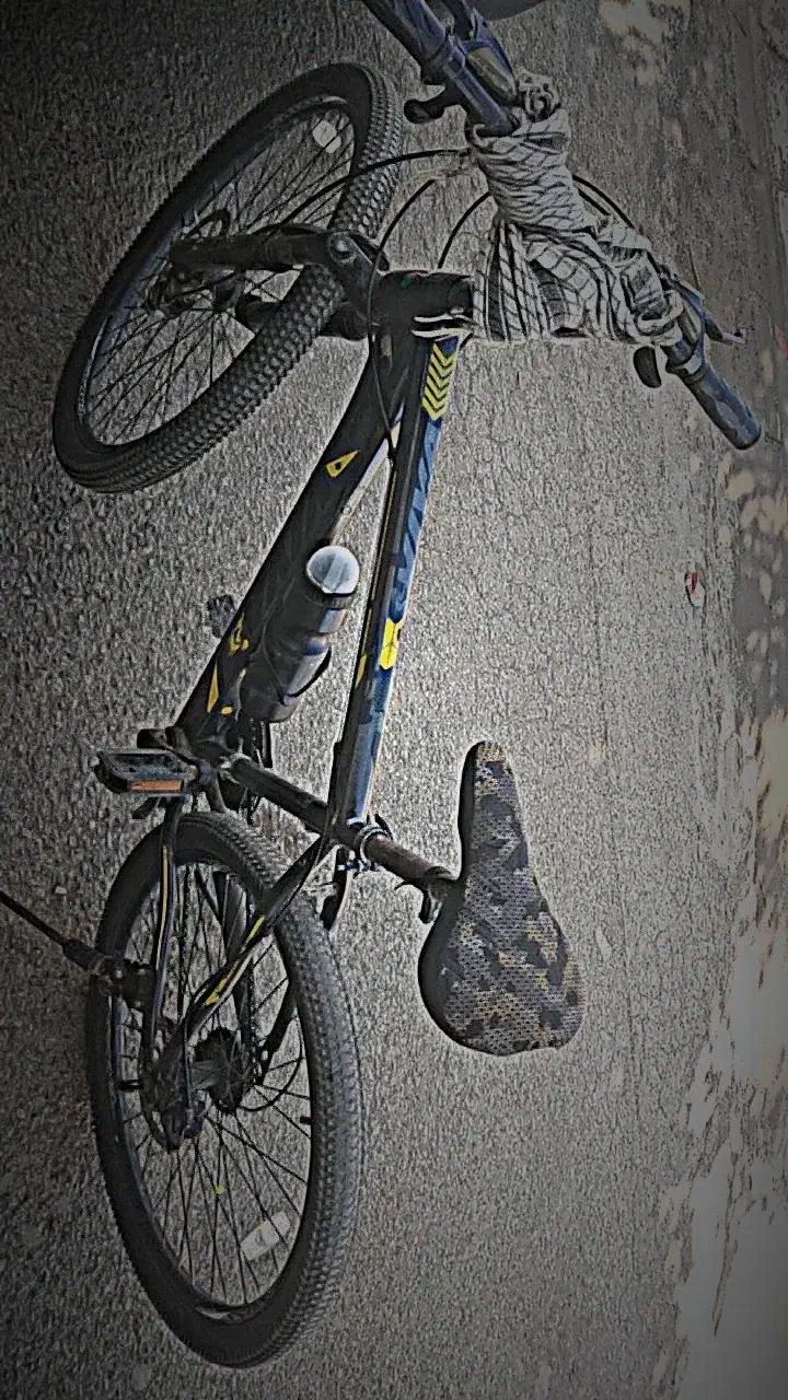 دوچرخه سالم|دوچرخه، اسکیت، اسکوتر|پارس‌آباد, |دیوار