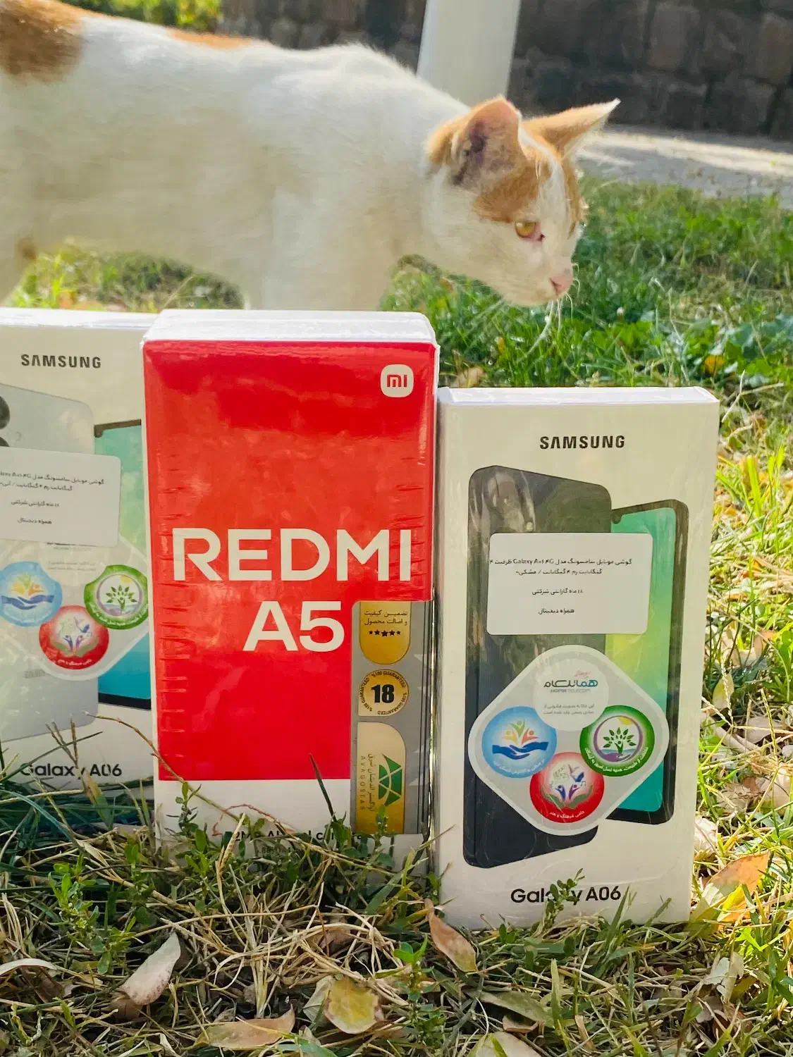 دستگاه سامسونگ A06 64Gشیائومی اکA5 128G|موبایل|مشهد, بهشت|دیوار
