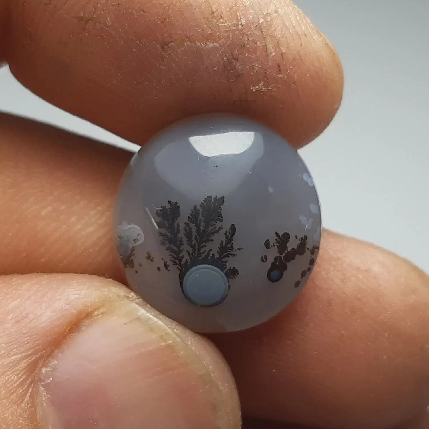 عقیق شجر قائن باباقوری دار|جواهرات|قم, شهر قائم|دیوار