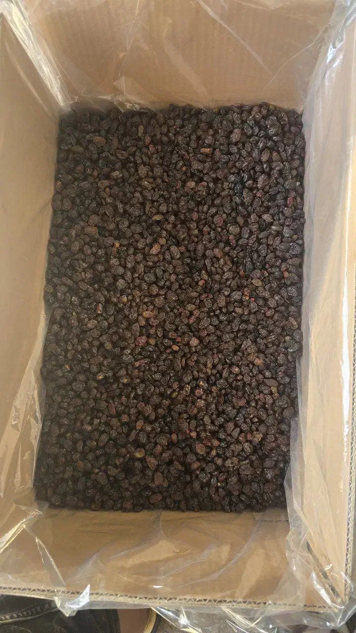 کشمش پلویی آفتاب خشک|خوردنی و آشامیدنی|تاکستان, |دیوار