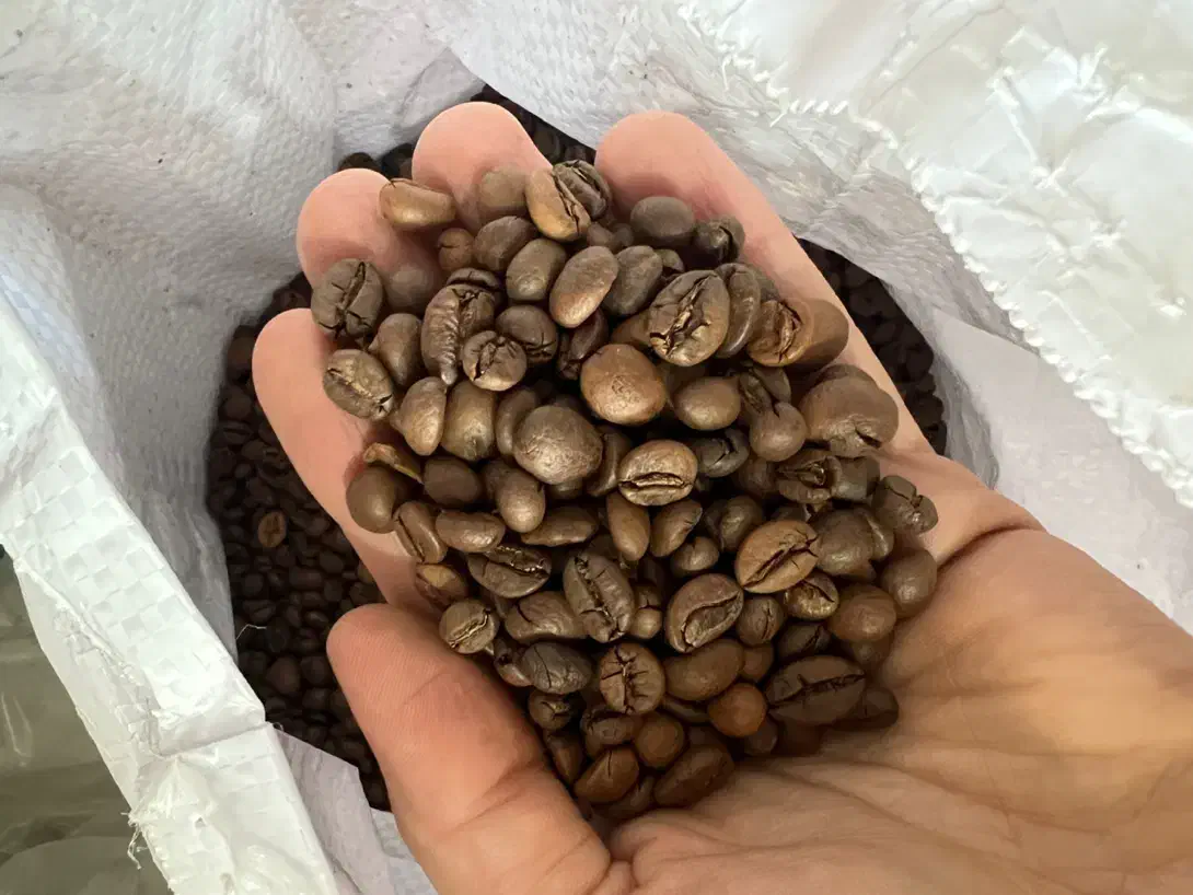 قهوه|عمده‌فروشی|تهران, خاک سفید|دیوار