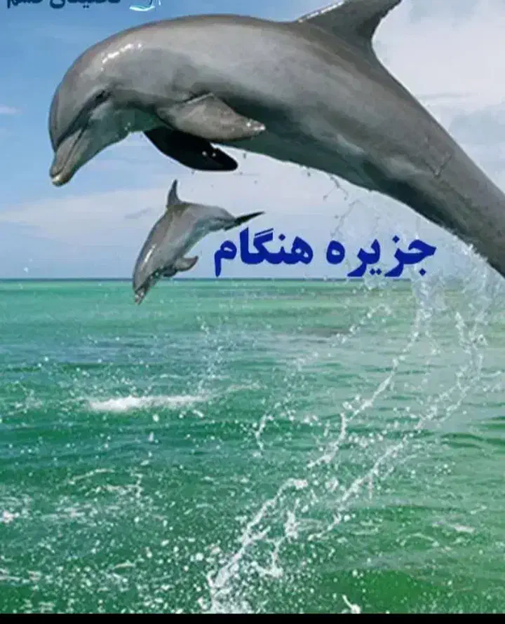 تور گشت جزیره با هایلوکس راننده محلی|تور و چارتر|قشم, |دیوار