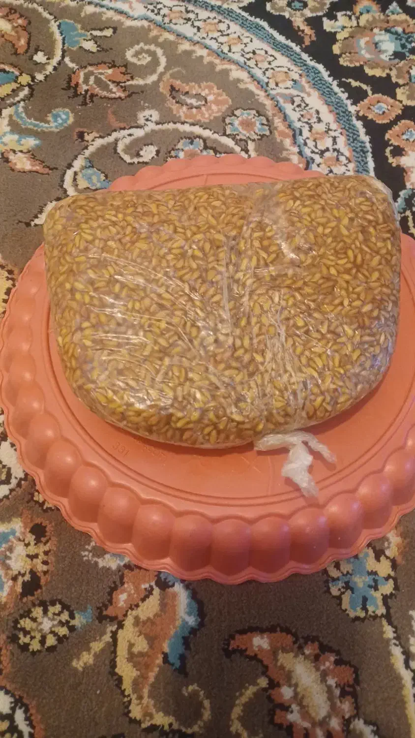 ترشی انار تمیز وبا کیفیت ترش وخوشمزه کیلویی 200|خوردنی و آشامیدنی|ایذه, |دیوار