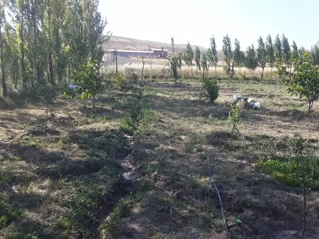 باغ|فروش زمین و ملک کلنگی|نمین, |دیوار