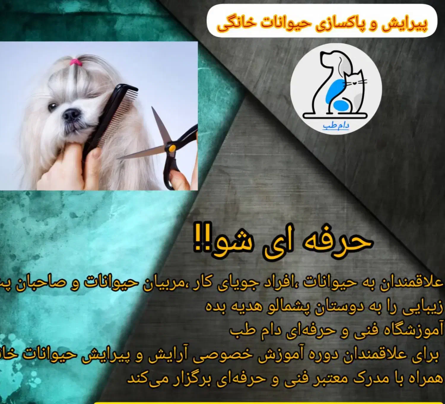 آموزش پیرایش و پاک‌سازی حیوانات خانگی|خدمات آموزشی|اصفهان, بهارستان|دیوار