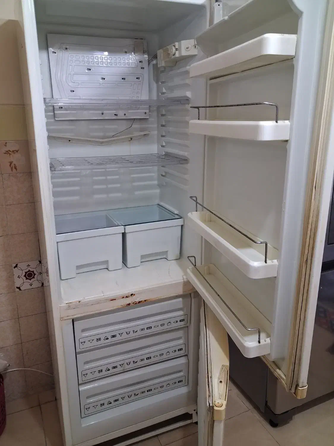 یخچال|یخچال و فریزر|شهریار, شهرک امیریه|دیوار