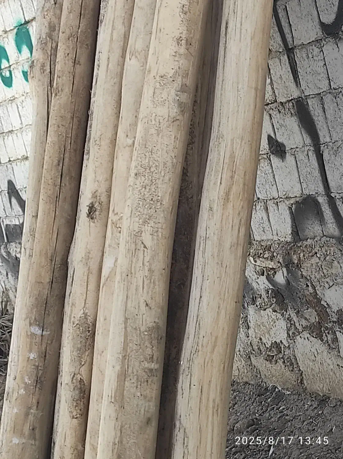 چوب سقفی|مصالح و تجهیزات ساختمان|چهاربرج, |دیوار