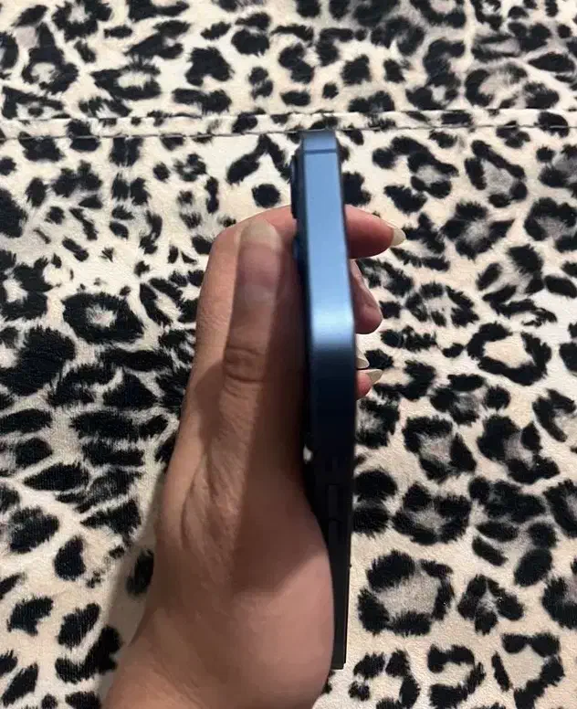 ایفون ۱۳ ابی|موبایل|کرمان, |دیوار