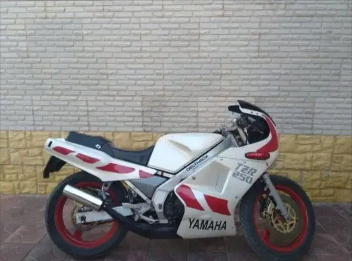 موتوریاماها TZR|موتورسیکلت|مشهد, شهرک بهارستان|دیوار