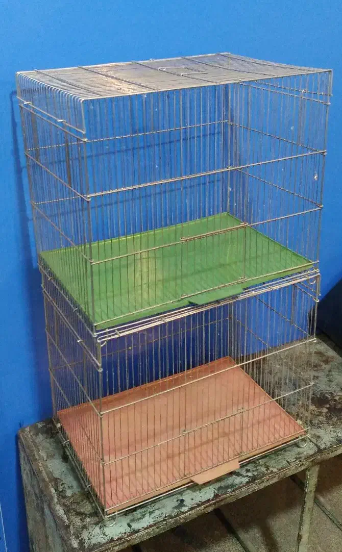 ۶ عدد قفس بزرگ تاشو|لوازم جانبی حیوانات|قرچک, زیبا شهر|دیوار