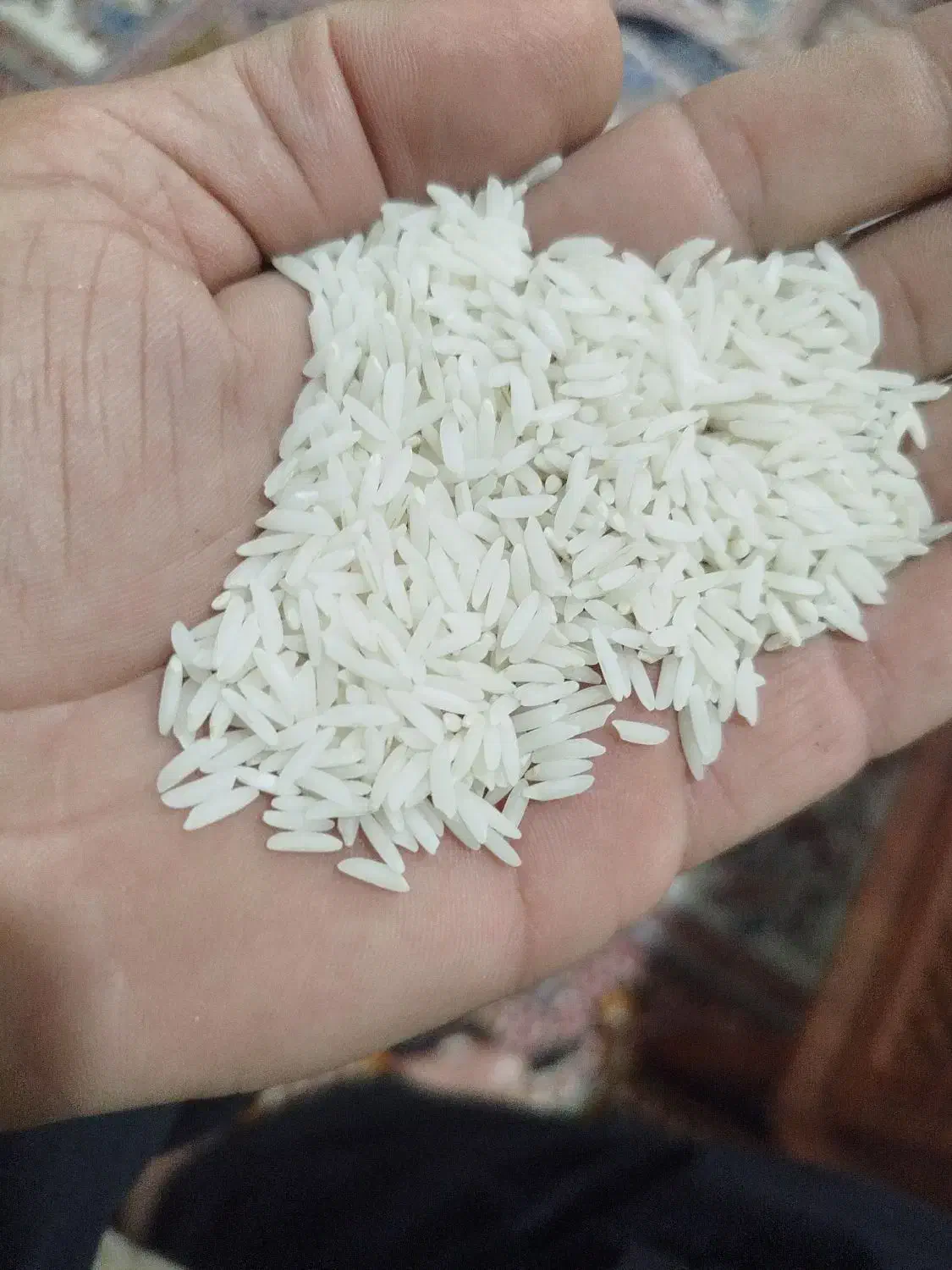 برنج هاشمی اصل درجه یک|خوردنی و آشامیدنی|میاندوآب, |دیوار