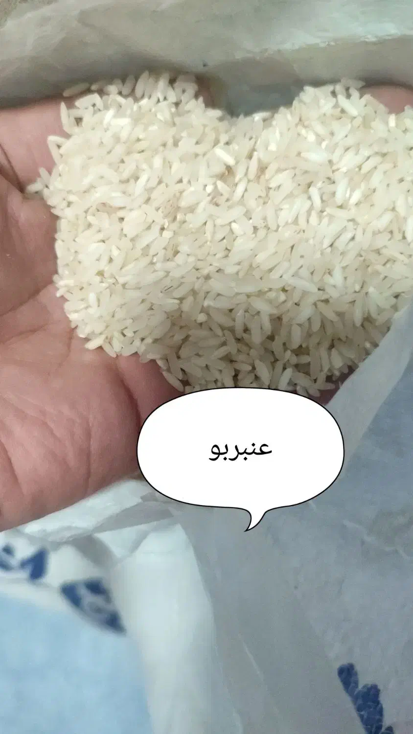 برنج عنبربو / عنبر / کامفیروز|خوردنی و آشامیدنی|شیراز, میانرود|دیوار