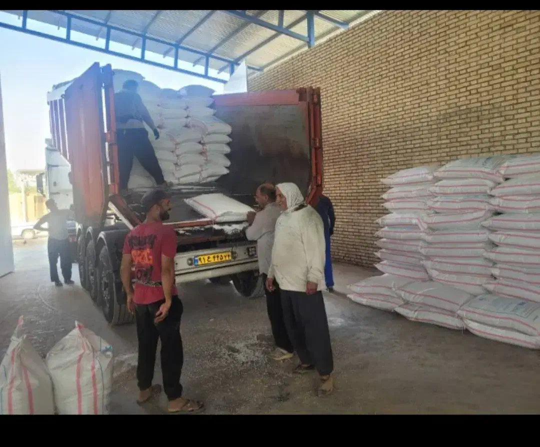 شیمیایی رازی سفید|خدمات باغبانی و درختکاری|اندیمشک, |دیوار