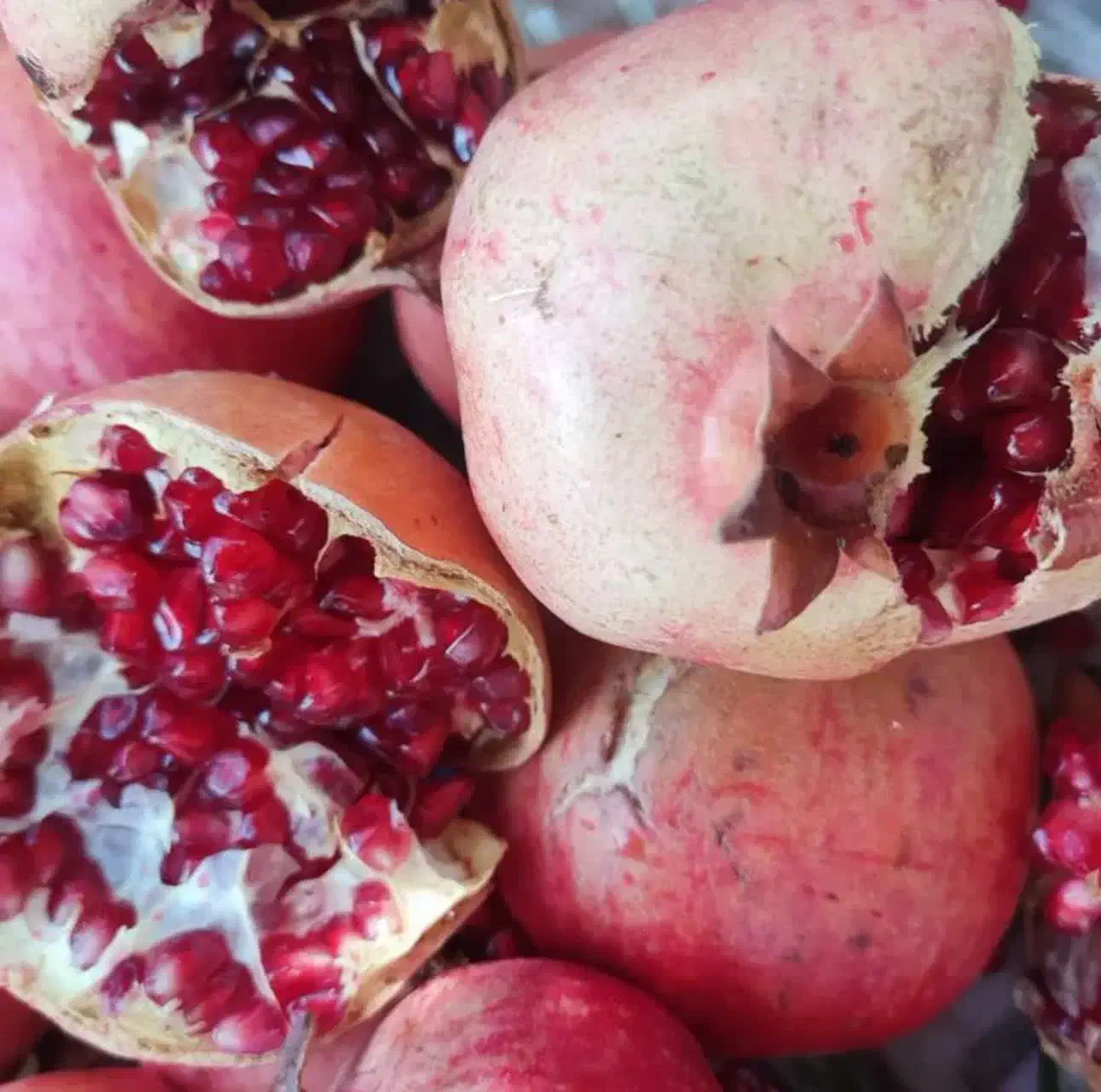 ملک کشاورزی .چاه دربست . و باغ پسته|فروش دفتر صنعتی، کشاورزی، تجاری|ساوه, |دیوار