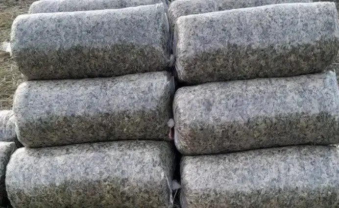 ذرت علوفه ای|عمده‌فروشی|ضیاء آباد, |دیوار