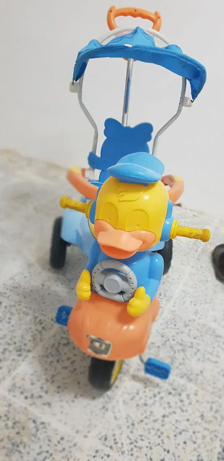 سه چرخه|دوچرخه، اسکیت، اسکوتر|بندر گناوه, |دیوار