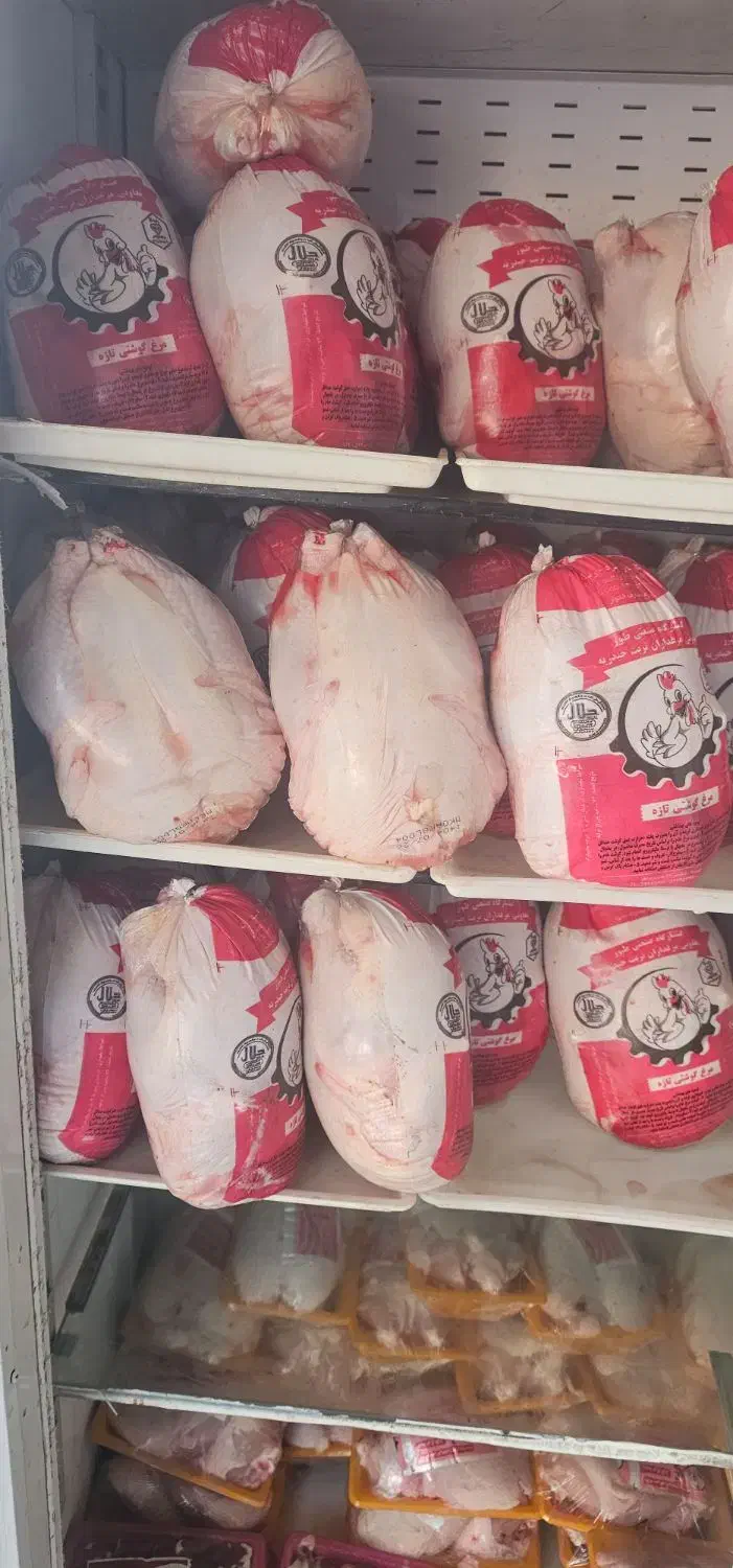 ران مرغ تازه|خوردنی و آشامیدنی|خواف, |دیوار