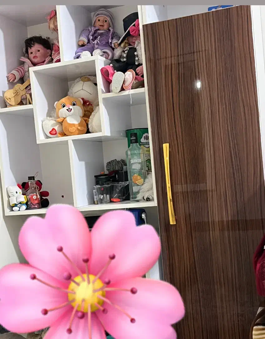 کتابخانه و جا عروسکی|کتابخانه، شلف، قفسه‌های دیواری|تهران, والفجر (افسریه)|دیوار
