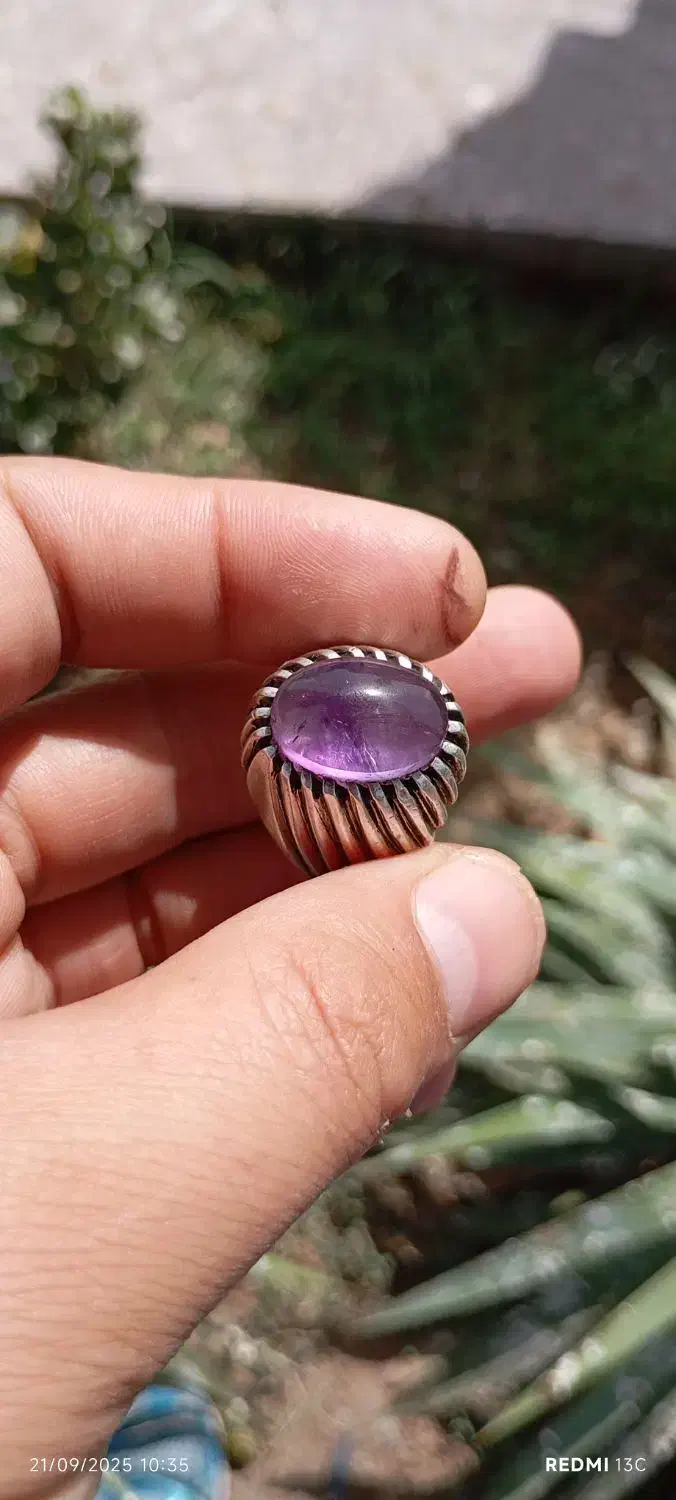 آماتیس برزیلی خوش رنگ|بدلیجات|سبزوار, امیر کبیر|دیوار