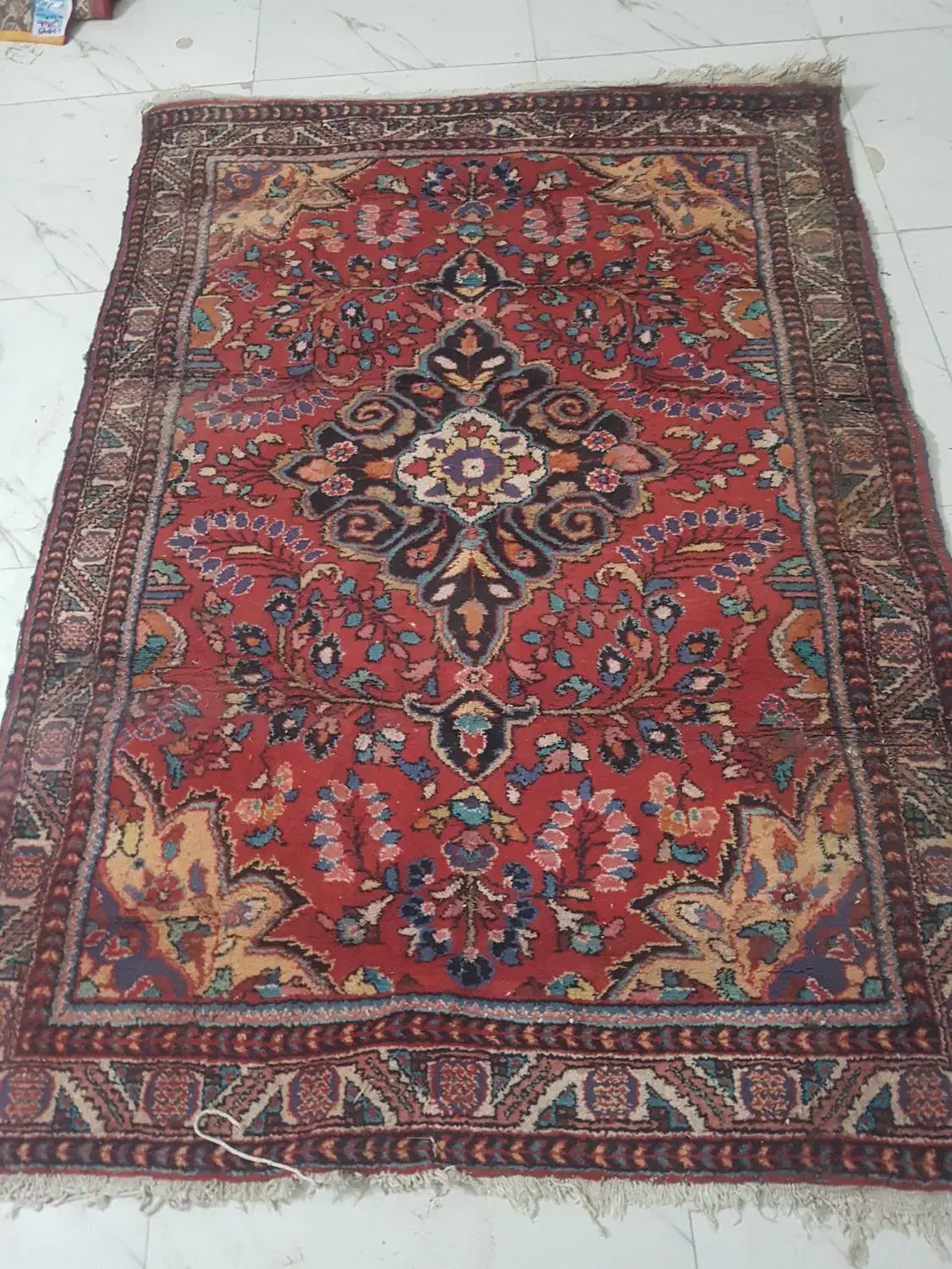 قالیچه|فرش|گرگان, |دیوار