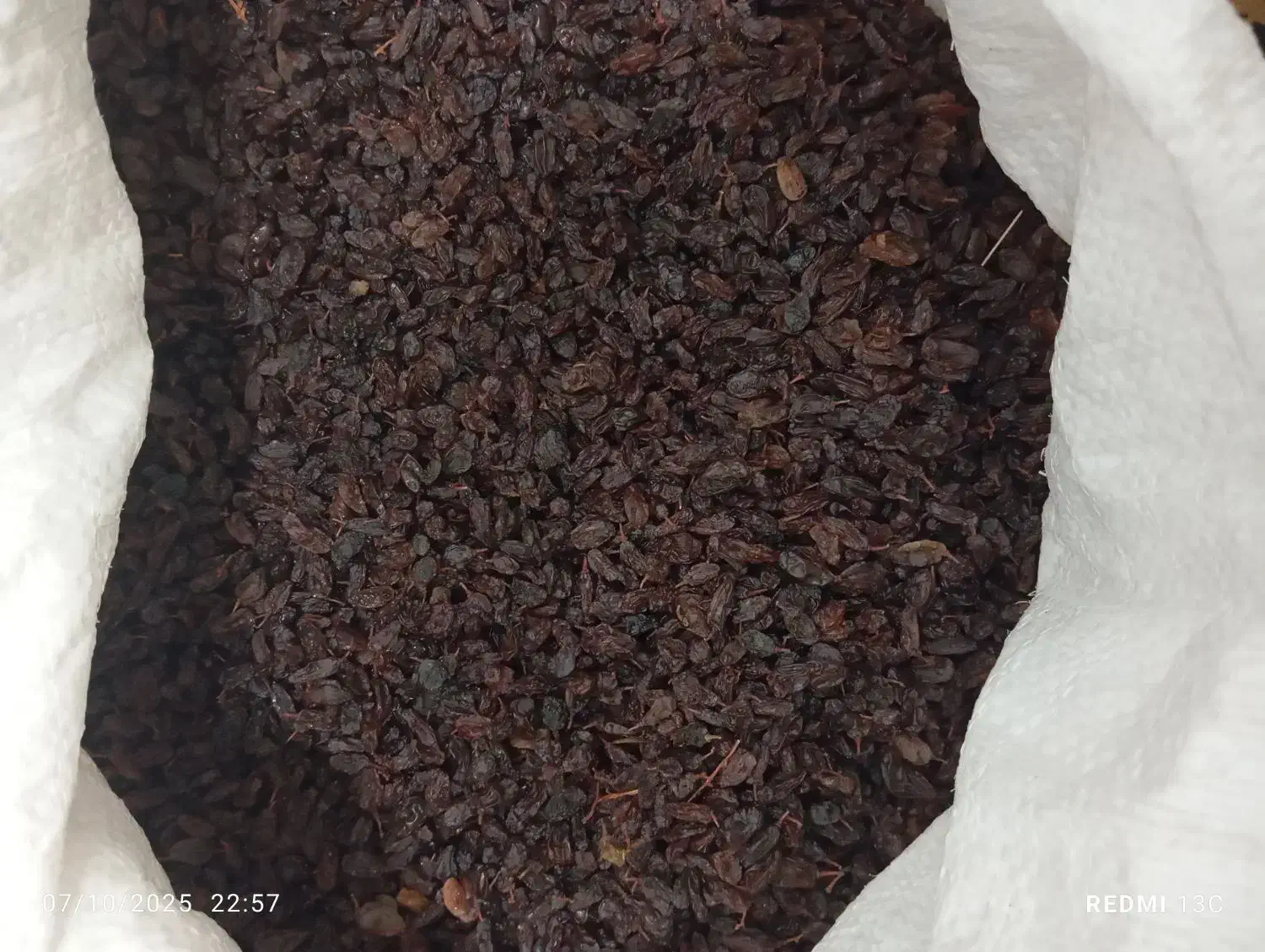 کشمش طبیعی|خوردنی و آشامیدنی|کامیاران, |دیوار