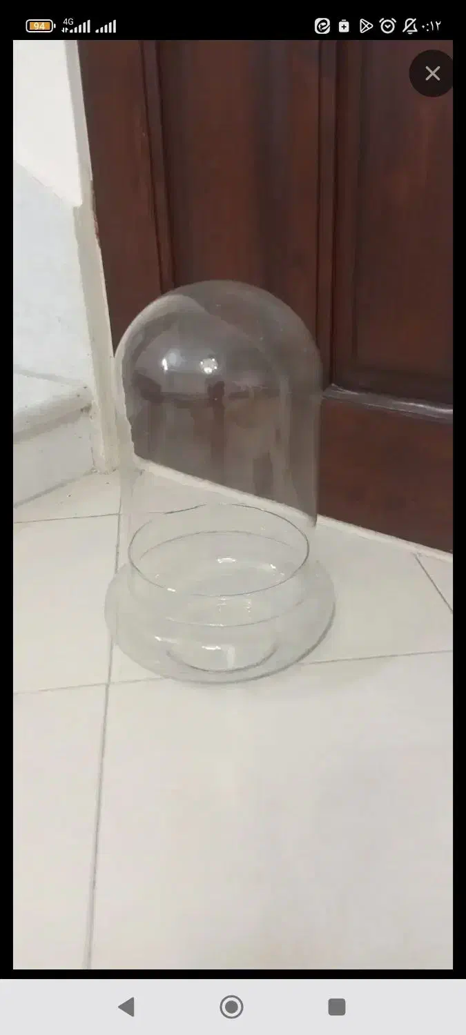 گلدان شیشه ای|گل مصنوعی|دماوند, گیلاوند|دیوار