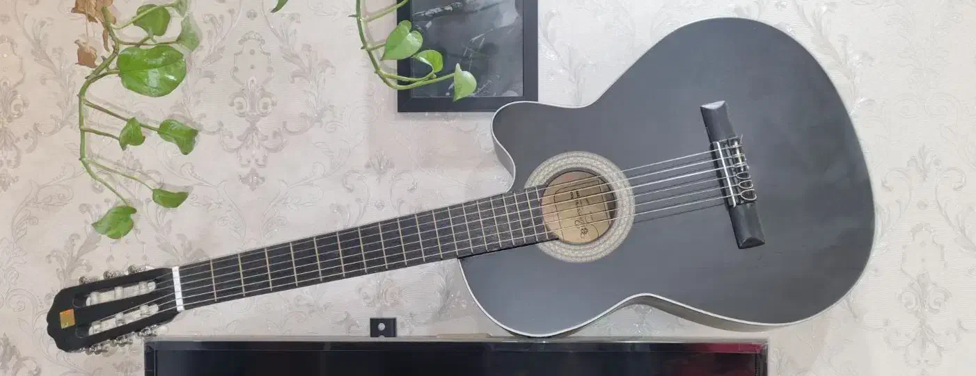 گیتار کاتوی مشکی|گیتار، بیس، امپلیفایر|رشت, چمارسرا|دیوار