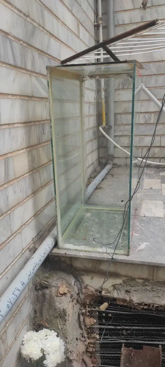 فروش چهار عدد آکواریوم که یکیش ماهی گپی داره|ماهی|تبریز, |دیوار