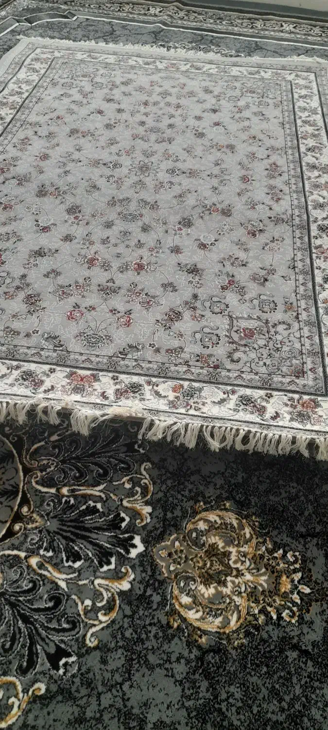 قالی|فرش|دهدشت, |دیوار