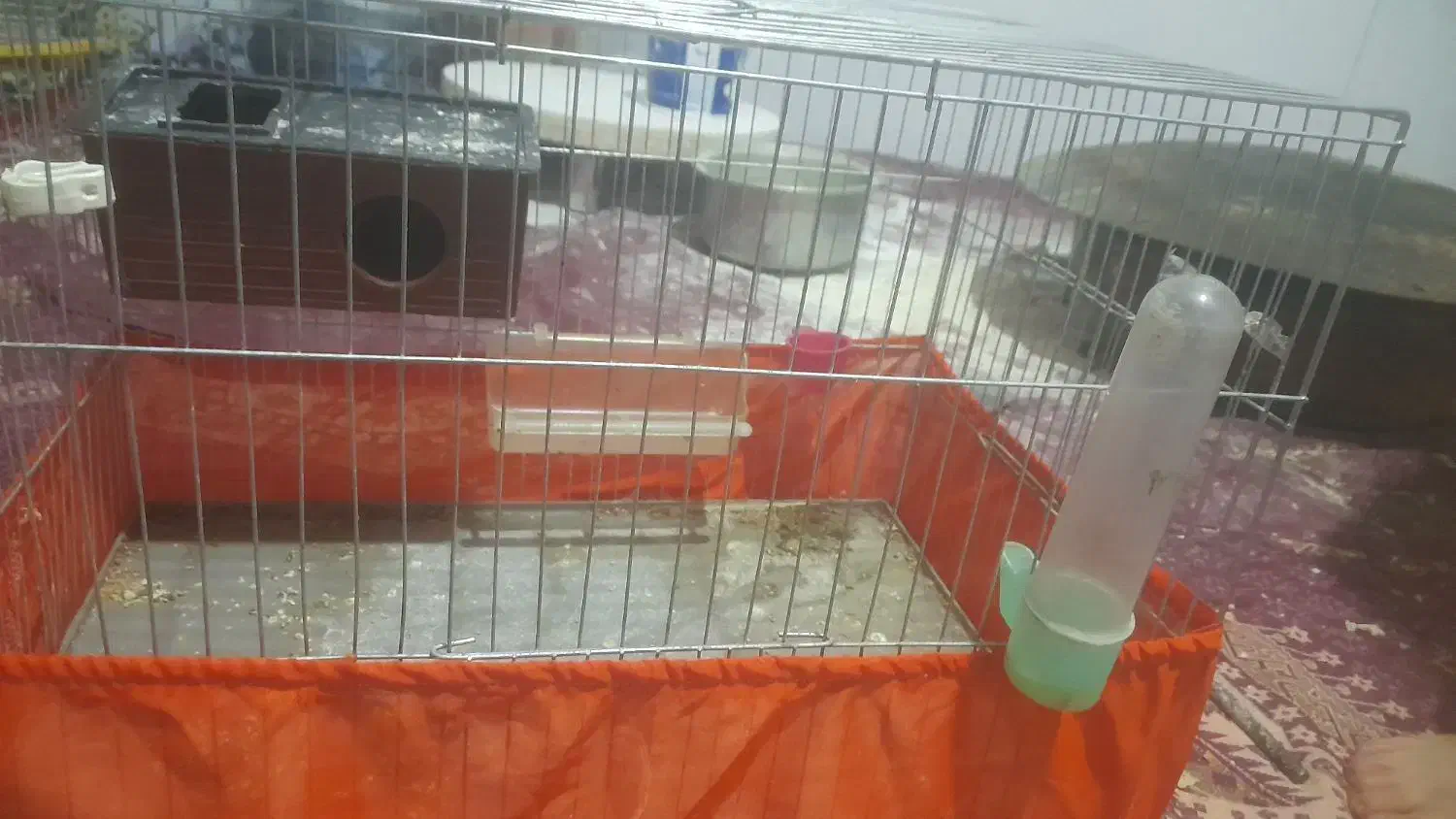 قفس|لوازم جانبی حیوانات|سرپل ذهاب, |دیوار