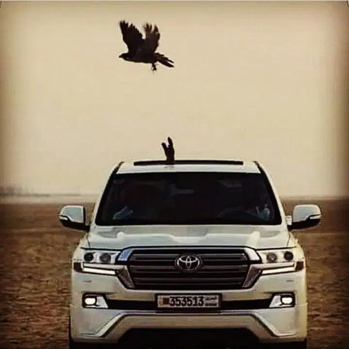 سلام آموزش رانندگی و دربستی داخل شهر|خدمات آموزشی|زاهدان, |دیوار