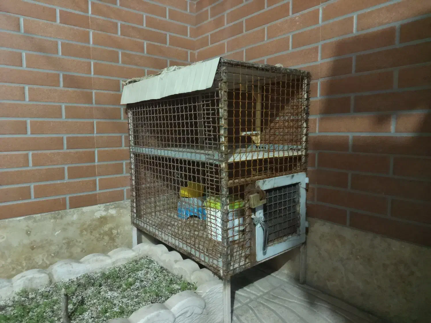 قفس|لوازم جانبی حیوانات|کرمان, |دیوار