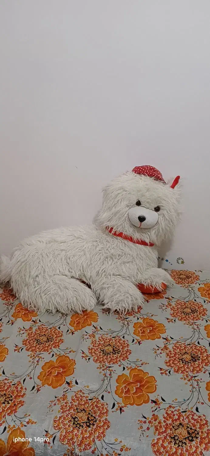 عروسک گربه بزرگ فقط 250 تومن|اسباب‌‌بازی|تربت جام, شهرک معلم|دیوار