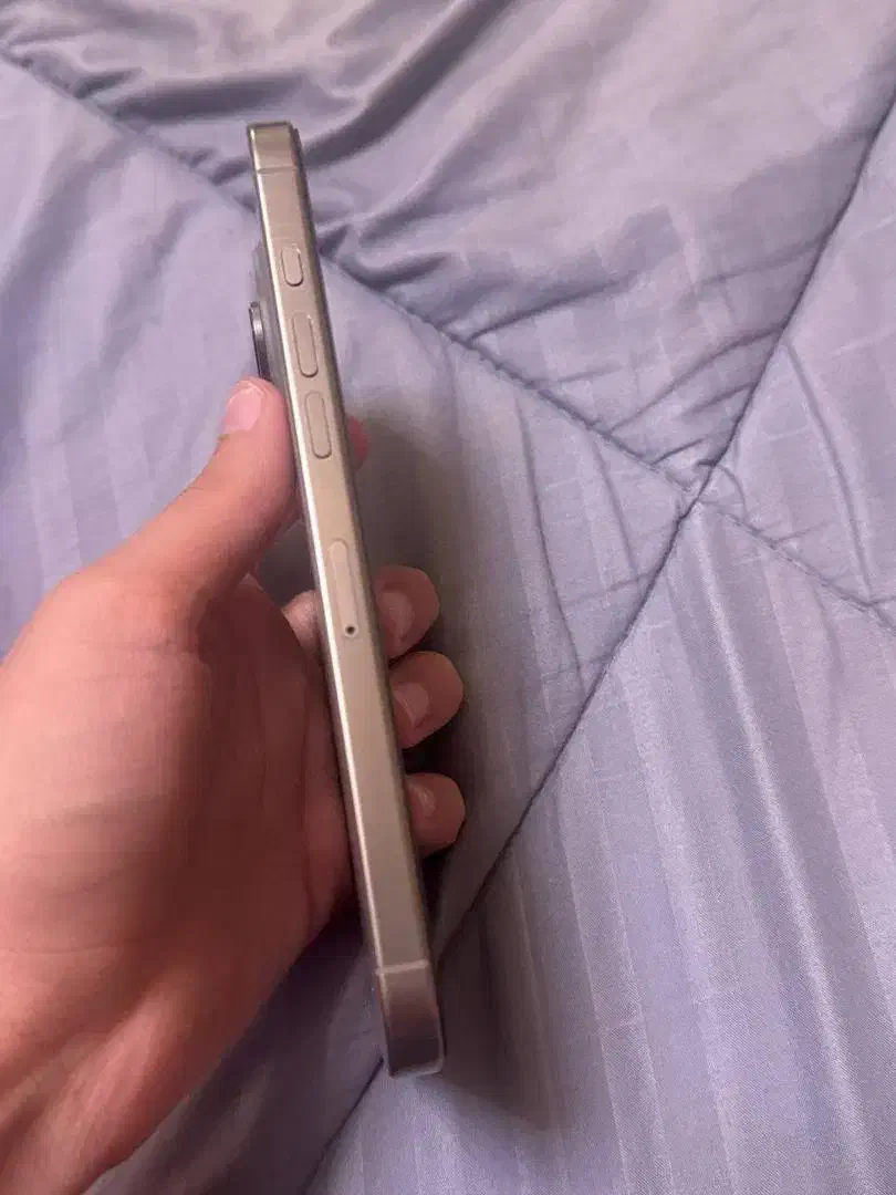 16PROMAX|موبایل|تهران, بازار|دیوار